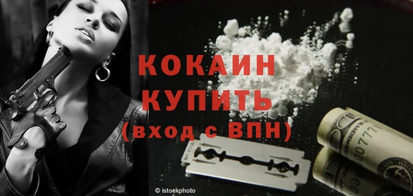гидра Нея