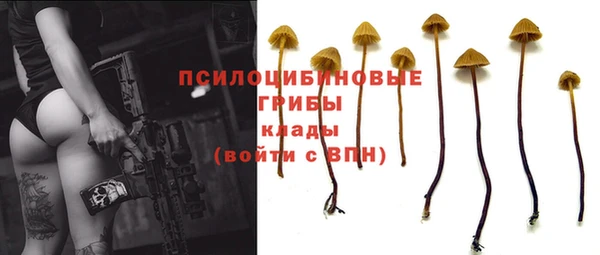 дистиллят марихуана Новозыбков