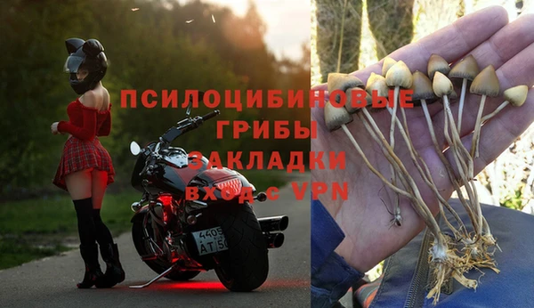 дистиллят марихуана Новозыбков