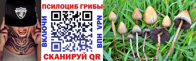 Псилоцибиновые грибы GOLDEN TEACHER  OMG как войти  Арск 